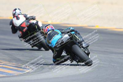 media/Mar-10-2024-SoCal Trackdays (Sun) [[6228d7c590]]/9-Turn 8 Backside (1150am)/